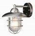4371 ST - Trans Globe Lighting - One Light Outdoor Wall Lantern Stainless Steel Finish with Clear Glass -