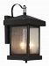 45641 WB - Trans Globe Lighting - Two Light Outdoor Wall Lantern Weathered Bronze Finish with Seeded Glass -