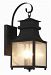 45631 WB - Trans Globe Lighting - Two Light Outdoor Wall Lantern Weathered Bronze Finish with Seeded Glass -