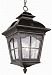 5421 AR - Trans Globe Lighting - Chesapeake - Three Light Outdoor Hanging Lantern Antique Rust Finish with Water Glass - Chesapeake