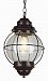 69903 RBZ - Trans Globe Lighting - One Light Outdoor Medium Hanging Lantern Rustic Bronze Finish with Seeded Glass - Coastal