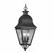 2557-04 - Livex Lighting - Amwell - Three Light Outdoor Hanging Black Finish with Seeded Glass - Amwell