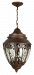 Z3821-AG - Craftmade Lighting - Olivier - Three Light Outdoor Large Pendant Aged Bronze Finish with Champagne Hammered Glass - Olivier