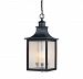 5-256-25 - Savoy House - Monte Grande - Three Light Hanging Lantern Slate Finish with Pale Cream Seeded Glass - Monte Grande