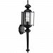 P5831-31 - Progress Lighting - 28.50 Inch One Light Outdoor Wall Lantern Black Finish with Clear Beveled Glass - 2010 - Toll