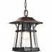 P5579-84 - Progress Lighting - Derby - One Light Outdoor Hanging Lantern Espresso Finish with Water Seeded Glass - Derby