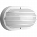 P7338-30EBWB - Progress Lighting - Two Light Oval Wall/Flush Mount White Finish with Ribbed Frosted Glass -