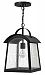 2652BK - Hinkley Lighting - Putney Bridge - One Light Outdoor Hanging Lantern Black Finish with Etched Opal Glass - Putney Bridge
