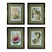 10046-S4 - Sterling Industries - 21.75 Fruit On The Vine Wall Art - (Set of 4) Brown/Green Finish -
