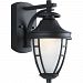 P5492-31 - Progress Lighting - Fairview - One Light Outdoor Wall Mount Black Finish with Etched Glass - Fairview