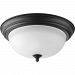 P3925-80 - Progress Lighting - Melon - Two Light Flush Mount Forged Black Finish with Etched Glass - Melon