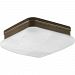 P3490-20 - Progress Lighting - Appeal - Two Light Flush Mount Antique Bronze Finish with Etched Alabaster Glass - Appeal