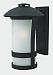 2705BK - Hinkley Lighting - Chandler - One Light Large Outdoor Wall Mount Black Finish with Etched Seedy Glass - Chandler