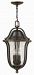 2642OB - Hinkley Lighting - Bolla - Three Light Outdoor Hanging Lantern Olde Bronze Finish with Clear Seedy Glass - Bolla