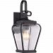 PRV8406K - Quoizel Lighting - Province - 1 Light Outdoor Wall Lantern 100W Incandescent A-19 Medium Clear Seedy Glass - Province