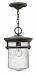 1622KZ - Hinkley Lighting - Hadley - One Light Outdoor Hanging Lantern Buckeye Bronze Finish with Clear Seedy Glass - Hadley