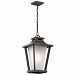 49663WZC - Kichler Lighting - Sumner Court - One Light Outdoor Hanging Lantern Weathered Zinc Finish - Sumner Court