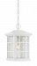 SNN1909W - Quoizel Lighting - Stonington - 1 Light 100W Large Outdoor Hanging Lantern Fresco Finish with Clear Water Glass - Stonington