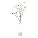 03075 - Cyan lighting - 21 Flowering Tree Bronze Finish -