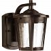 P6077-2030K9 - Progress Lighting - East Haven - 7.88 Inch 9W1 LED Small Outdoor Wall Lantern Antique Bronze Finish with Clear Seeded Glass - East Haven