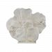 2182-016 - Dimond Home - Cretaceous - 37 Fossil Sculpture White Finish - Cretaceous