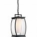 TRE1909K - Quoizel Lighting - Terrace - 150W One Light Outdoor Large Hanging Lantern Mystic Black Finish with White Opal Etched/Clear Seedy Glass - Terrace