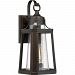LTE8407PN - Quoizel Lighting - Lighthouse - 100W One Light Outdoor Medium Wall Lantern Palladian Bronze Finish with Clear Seedy Glass - Lighthouse
