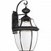 NYCL8411K - Quoizel Lighting - Newbury Clear - 20 16W 1 LED Outdoor Large Wall Lantern Mystic Black Finish with Clear Beveled Glass - Newbury Clear