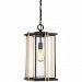 GLD1910WT - Quoizel Lighting - Goldenrod - 150W One Light Outdoor Large Hanging Lantern Western Bronze Finish - Goldenrod