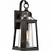 LTE8409PN - Quoizel Lighting - Lighthouse - 150W 1 Light Outdoor Large Wall Lantern Palladian Bronze Finish with Clear Seedy Glass - Lighthouse