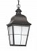 69272-46 - Sea Gull Lighting - Chatham - 100W One Light Outdoor Pendant Oxidized Bronze Finish with Frosted Seeded Glass - Chatham