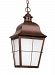 69272-44 - Sea Gull Lighting - Chatham - 100W One Light Outdoor Pendant Weathered Copper Finish with Frosted Seeded Glass - Chatham