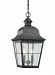 6062EN-46 - Sea Gull Lighting - Chatham - Two Light Outdoor Pendant Oxidized Bronze Finish with Clear Seeded Glass - Chatham