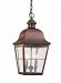 6062EN-44 - Sea Gull Lighting - Chatham - Two Light Outdoor Pendant Silver Finish with Clear Seeded Glass - Chatham