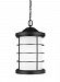6224451-12 - Sea Gull Lighting - Sauganash - One Light Outdoor Pendant Medium Base: 100W Black Finish with Etched Seeded Glass - Sauganash
