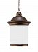 69191-71 - Sea Gull Lighting - Hermitage - 100W One Light Outdoor Pendant Antique Bronze Finish with Frosted Glass - Hermitage