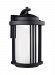8747991DS-12 - Sea Gull Lighting - Crowell - 14.88 14W 1 LED Medium Outdoor Wall Lantern Black Finish with Creme Parchment Glass - Crowell