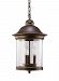 60081EN-71 - Sea Gull Lighting - Hermitage - Three Light Outdoor Pendant Antique Bronze Finish with Clear Glass - Hermitage
