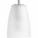 P500029-009 - Progress Lighting - Leap Mini-Pendant 1 Light Brushed Nickel Finish with Etched Glass - Leap