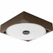 P350025-129-30 - Progress Lighting - Frame - 9 17W 1 LED Small Wall/Flush Mount Architectural Bronze Finish with Canyon Stone Glass - Frame