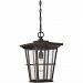 RPT1911PN - Quoizel Lighting - Rockport - One Light Outdoor Hanging Lantern Palladian Bronze Finish with Clear Seedy Glass - Rockport