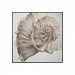 1617027 - GUILD MASTER - Shell Botanical - 46 Wall Art Handpainted/Antique Smoke Finish - Shell Botanical