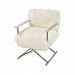 1221-002 - Dimond Home - Hair To The Throne - 30.71 Chair Stainless Steel/Natural White Sheepskin Finish - Hair To The Throne