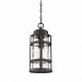 DST1909PN - Quoizel Lighting - DeSoto - One Light Outdoor Hanging Lantern Palladian Bronze Finish with Clear Hammered Glass - DeSoto