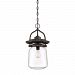 LLE1911WT - Quoizel Lighting - LaSalle - 1 Light Outdoor Hanging Lantern Western Bronze Finish with Clear Heavy Glass - LaSalle