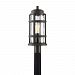 DST9009PN - Quoizel Lighting - DeSoto - 1 Light Outdoor Post Lantern Palladian Bronze Finish with Clear Hammered Glass - DeSoto