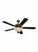 15161EN-191 - Sea Gull Lighting - Quality Pro Deluxe - 52 Ceiling Fan with Light Kit Traditional