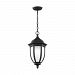 6229301-12 - Sea Gull Lighting - Galvyn - 75W One Light Outdoor Pendant Traditional