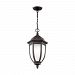 6229301-71 - Sea Gull Lighting - Galvyn - 75W One Light Outdoor Pendant Traditional