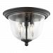 7527803-839 - Sea Gull Lighting - Morill - 40W Three Light Flush Mount Blacksmith Finish with Clear Seeded Glass - Morill